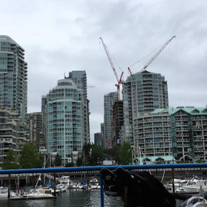 Meet your Posher, Will